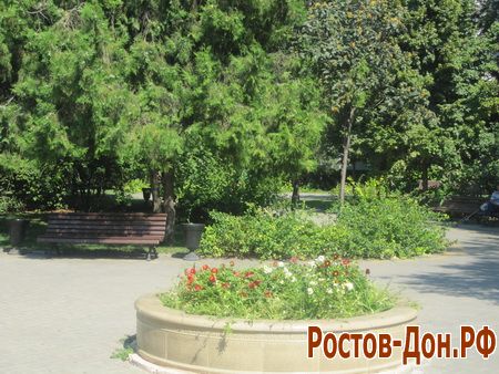 Ростовская набережная1229