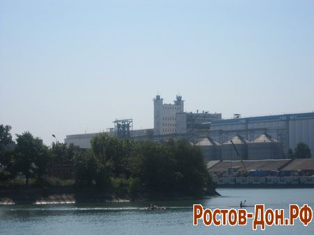 Река Дон1178