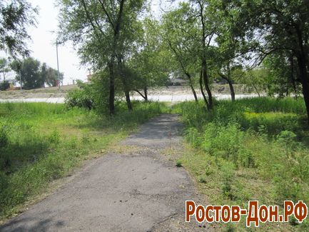 Левый берег Дона219
