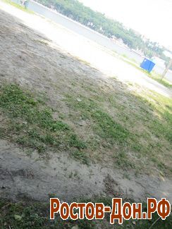 Левый берег Дона226