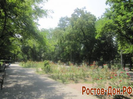 Комсомольский парк174