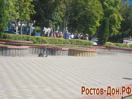 Ростовская набережная1254