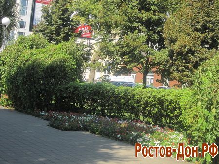 Ростовская набережная1231