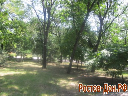 Комсомольский парк176