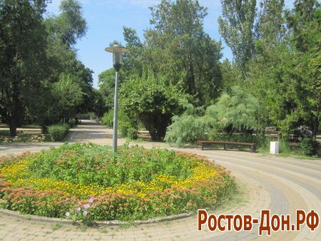 Центральный парк Ростова-на-Дону769