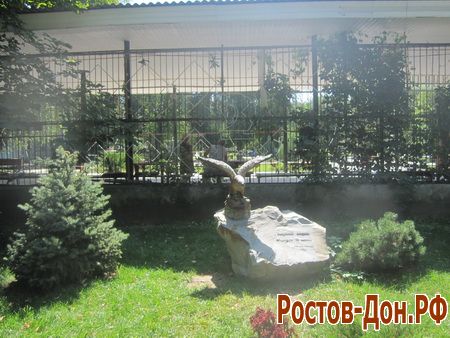 Центральный парк Ростова-на-Дону822