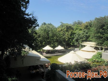 Центральный парк Ростова-на-Дону820