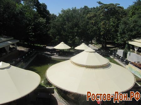 Центральный парк Ростова-на-Дону821
