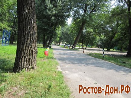Левый берег Дона234
