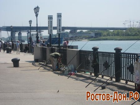 Ростовская набережная1241