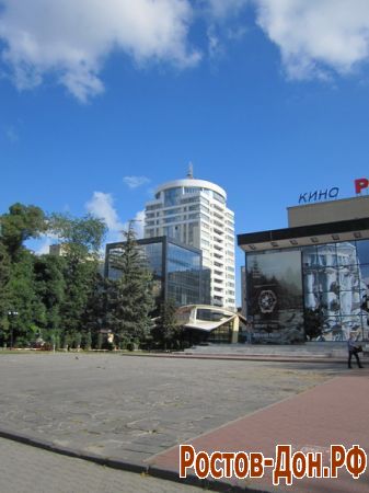 Большая Садовая,981