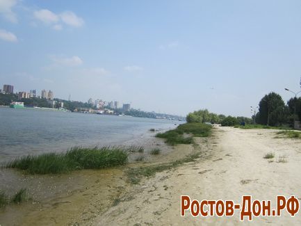 Левый берег Дона231