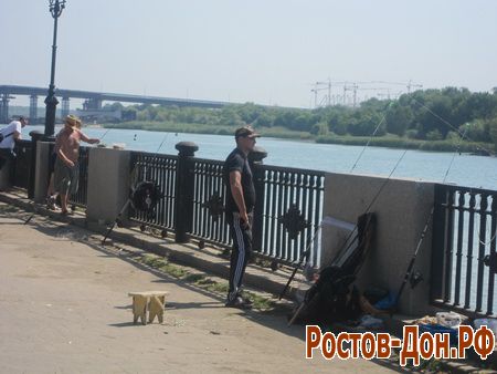 Ростовская набережная1228