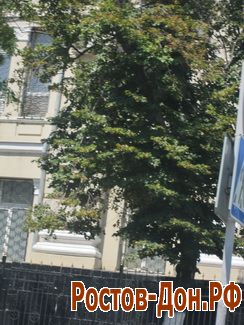 Пр. Буденновский376